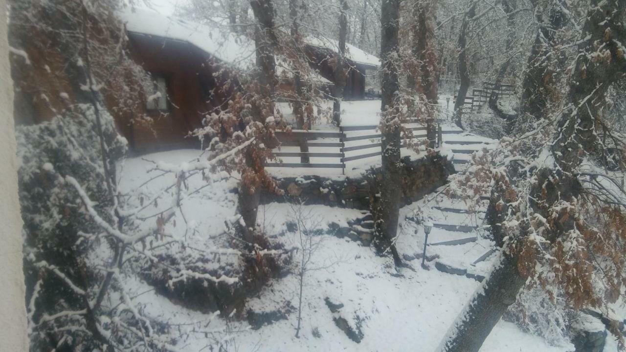 Penzion La Albarina Galende Exteriér fotografie